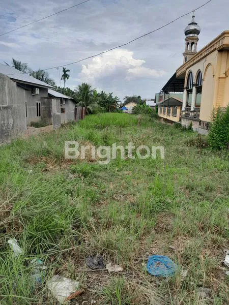 image INVESTASI TANAH BAGUS, PINGGIR JALAN TANDAM HILIR.BISA NEGO (5)