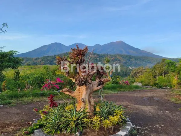 image TANAH PRIGEN TRAWAS PASURUAN JAWA TIMUR (1)