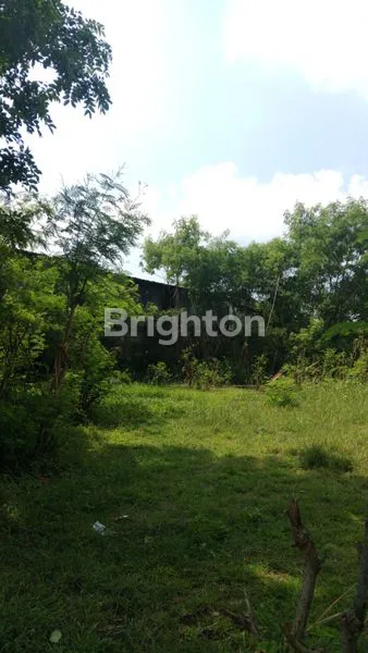 image TANAH PINGGIR JALAN ZONA UNGU AREA PARIWISATA COCOK UNTUK VILLA (2)