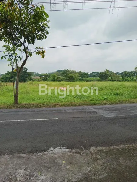 image TANAH STRATEGIS DI JL. RAYA PONGGOK-DELANGGU, KLATEN (1)