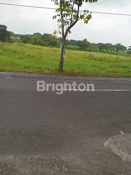 image TANAH STRATEGIS DI JL. RAYA PONGGOK-DELANGGU, KLATEN (2)