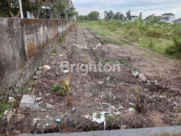 image DIJUAL TANAH LUAS BUNTALAN DI KLATEN TENGAH. (4)
