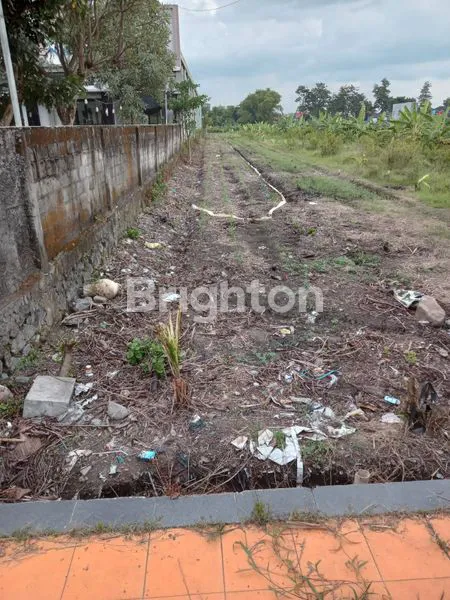 image DIJUAL TANAH LUAS BUNTALAN DI KLATEN TENGAH. (3)