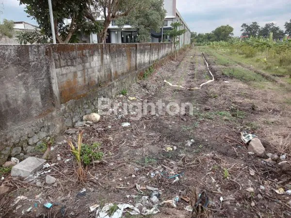 image DIJUAL TANAH LUAS BUNTALAN DI KLATEN TENGAH. (1)