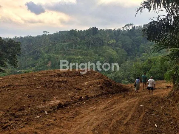 image LAHAN PREMIUM 38 ARE, VIEW LEMBAH DI SEBATU (1)