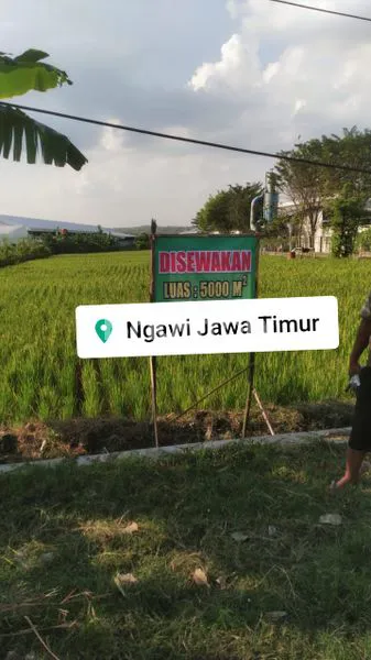 image TANAH INDUSTRI 5.000 M² DI JALUR ARTERI NASIONAL (1)