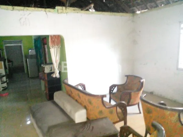 image DI JUAL MURAH TERAWAT  (3)