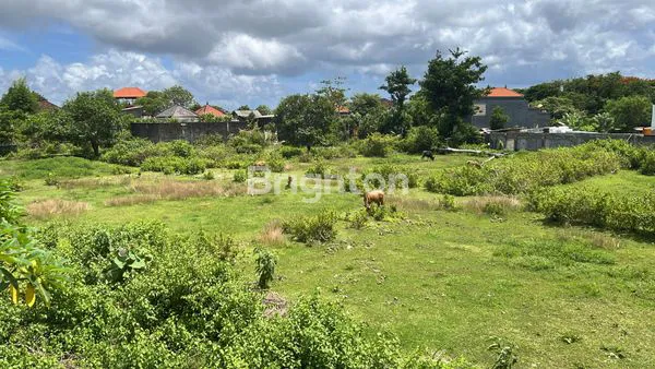 image TANAH SIAP HUNI, ZONA KUNING KUTUH (5)