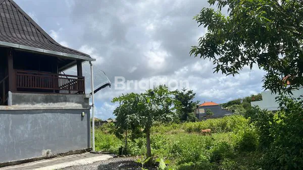 image TANAH SIAP HUNI, ZONA KUNING KUTUH (4)