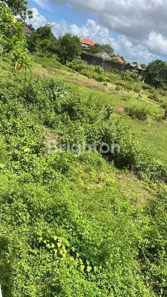 image TANAH SIAP HUNI, ZONA KUNING KUTUH (7)