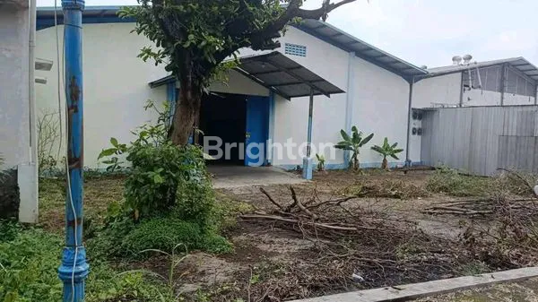 image SEWA GUDANG STRATEGIS 5000M² DEKAT BANDARA – AKSES KONTAINER 40FT – LAHAN LUAS 1,2 HA (7)