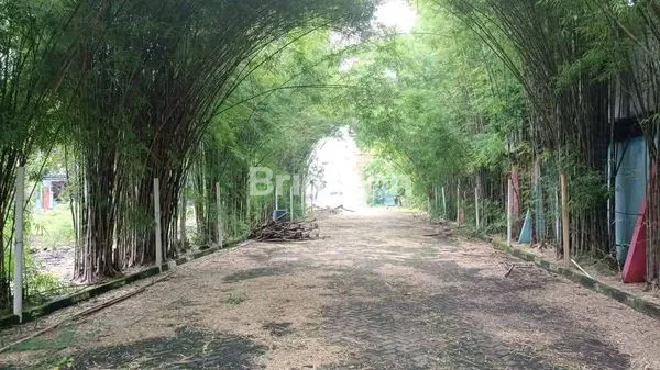 image SEWA GUDANG STRATEGIS 5000M² DEKAT BANDARA – AKSES KONTAINER 40FT – LAHAN LUAS 1,2 HA (3)