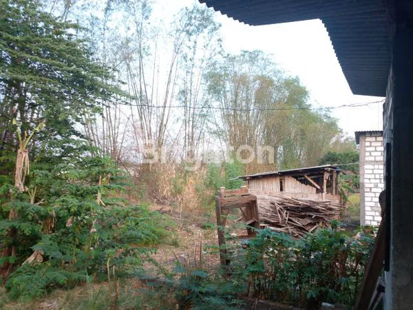 image DI JUAL CEPAT  (3)