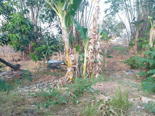 image DI JUAL CEPAT  (4)