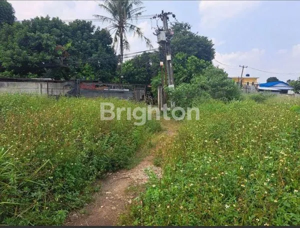 image DIJUAL TANAH CIANGSANA BOGOR (3)