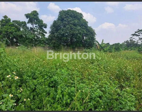 image DIJUAL TANAH CIANGSANA BOGOR (2)