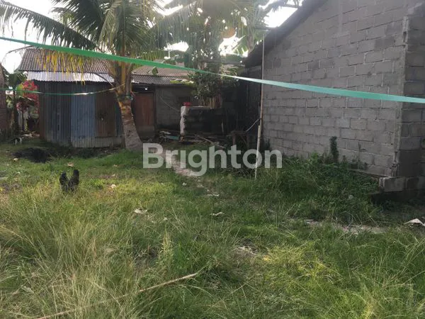 image TANAH DI DALAM KOMPLEK BATANG KUIS (3)