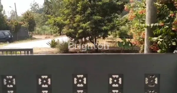 image RUMAH ASRI SIAP HUNI DI KOMPLEK HOLLYWOOD BOGOR (3)