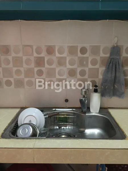 image DURI KOSAMBI (4)