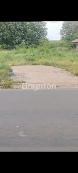 image DI JUAL TANAH DENGAN LUAS 3500M  PINGIGIR JALAN RAYA UTAMA  LOKASI STRATEGIS D SAMPING PASAR BISA BUAT  BUKA USAHA LOKASI BANTAR GEBANG BEKASI (2)