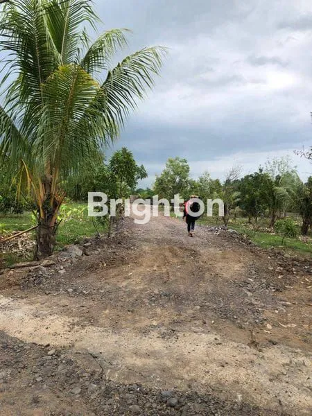 image DI JUAL TANAH (5)