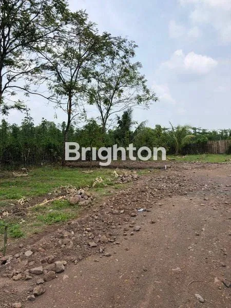 image DI JUAL TANAH (1)