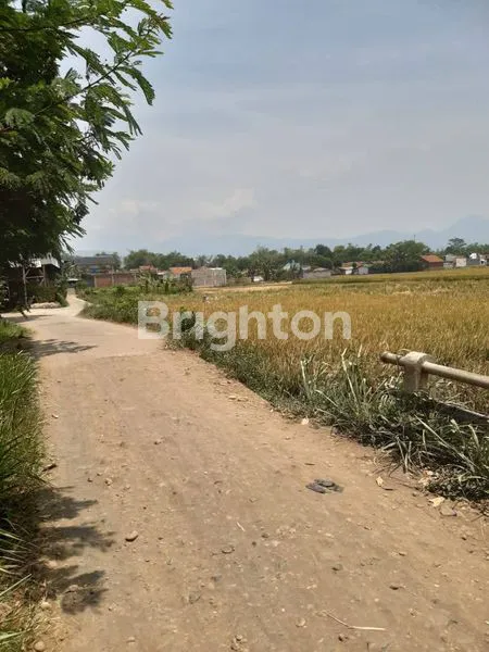 image 3 BIDANG TANAH SAWAH PRODUKTIF DI CIPARAY, BANDUNG (4)