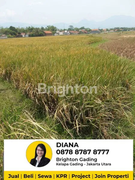 image 3 BIDANG TANAH SAWAH PRODUKTIF DI CIPARAY, BANDUNG (5)