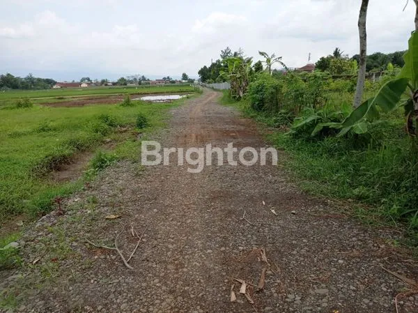 image PURWOKERTO, TANAH DEKAT UMP & RS. JIH (1)