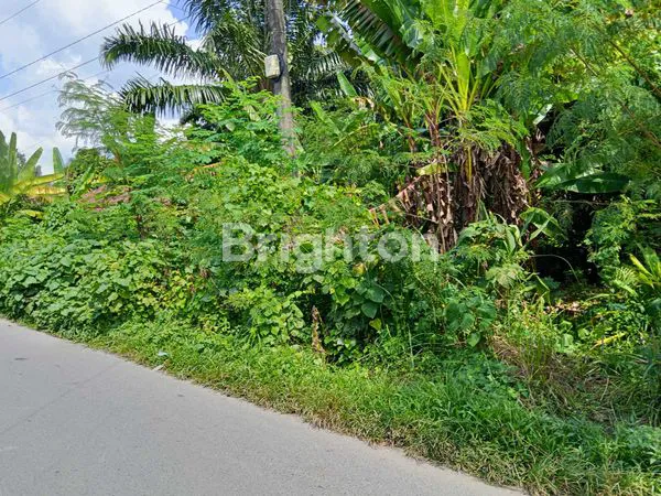 image JUAL TANAH STRATEGIS DI BINJAI UNTUK USAHA APA SAJA DAN PERUMAHAN OK (3)