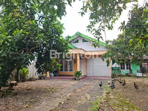 image TANAH DIJUAL BONUS BANGUNAN DEKAT DEMAK IJO RING ROAD BARAT YOGYAKARTA (2)