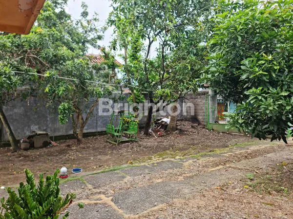 image TANAH DIJUAL BONUS BANGUNAN DEKAT DEMAK IJO RING ROAD BARAT YOGYAKARTA (4)