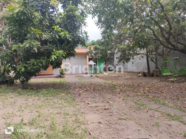 image TANAH DIJUAL BONUS BANGUNAN DEKAT DEMAK IJO RING ROAD BARAT YOGYAKARTA (7)