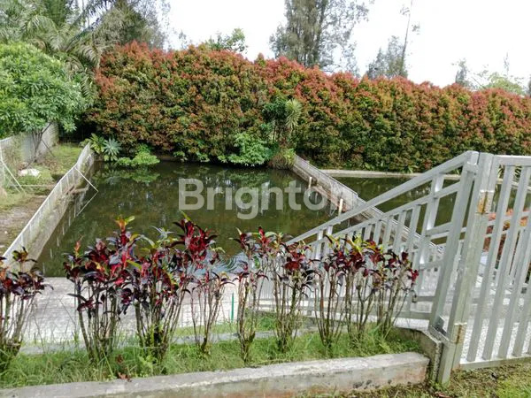 image VILLA MEWAH SIAP HUNI DI SIBOLANGIT, LT 405M² (4)