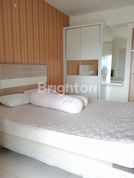 image EDUCITY YALE DKT ITS GLORIA WM (2)