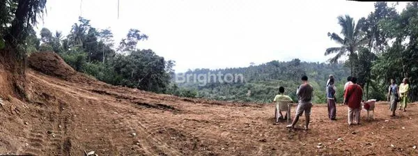 image LAHAN PREMIUM 38 ARE, VIEW LEMBAH DI SEBATU (5)