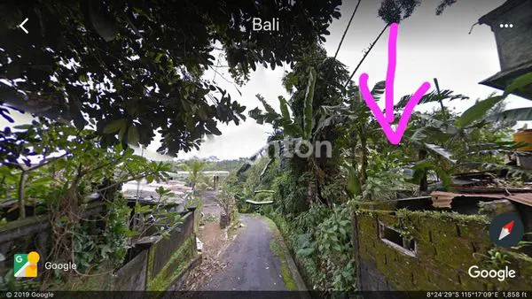 image LAHAN PREMIUM 38 ARE, VIEW LEMBAH DI SEBATU (8)