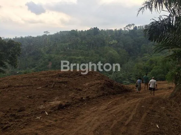 image LAHAN PREMIUM 38 ARE, VIEW LEMBAH DI SEBATU (6)