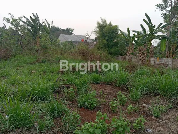 image DARIPADA DAPAT TANAH 100M DI BSD, MENDING INI! TANAH 1.340M² DEKAT VIREYA, HARGA JAUH LEBIH MASUK AKAL! (4)