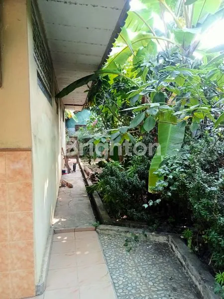 image RUMAH STRATEGIS 6 KT DI SETIA DARMA, LT 325M² (3)