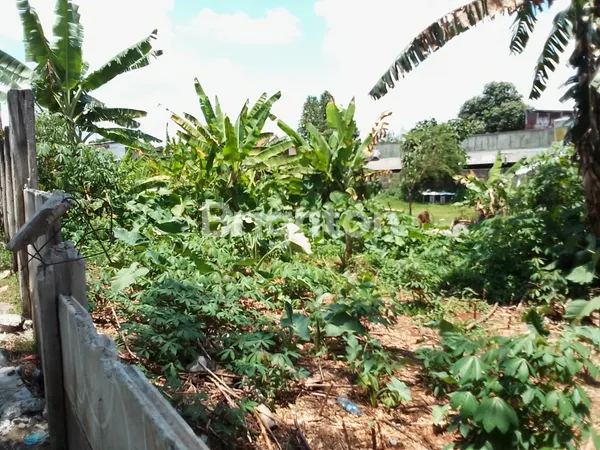 image BSD SUDAH TERLALU MAHAL… YANG INI MASIH MASUK AKAL! (3)