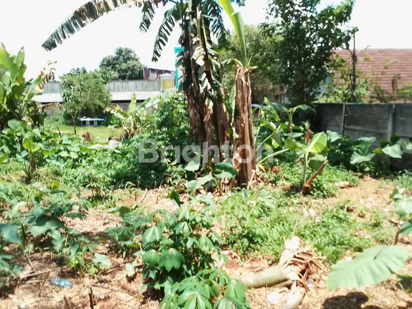 image BSD SUDAH TERLALU MAHAL… YANG INI MASIH MASUK AKAL! (5)