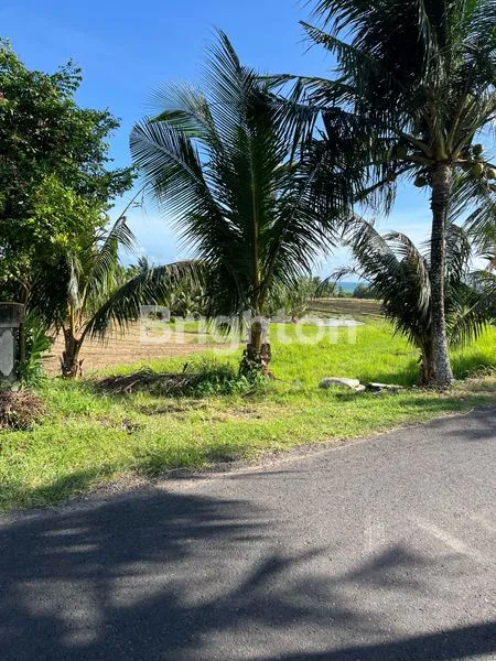 image TANAH STRATEGIS 2000M² DI JLN PANTAI KLECUNG, DEKAT PANTAI (1)