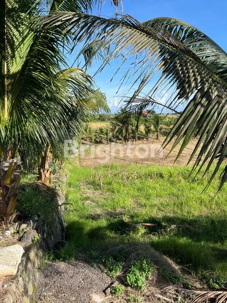 image TANAH STRATEGIS 2000M² DI JLN PANTAI KLECUNG, DEKAT PANTAI (3)