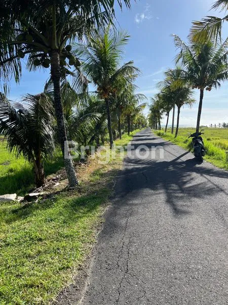 image TANAH STRATEGIS 2000M² DI JLN PANTAI KLECUNG, DEKAT PANTAI (4)