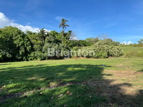 image TANAH STRATEGIS 2000M² DI JLN PANTAI KLECUNG, DEKAT PANTAI (7)