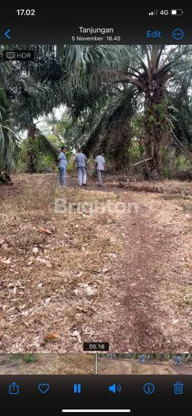 image DIJUAL TANAH PINGGIR JALAN KATIBUNG (4)