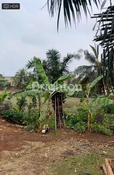 image DIJUAL TANAH PINGGIR JALAN KATIBUNG (5)