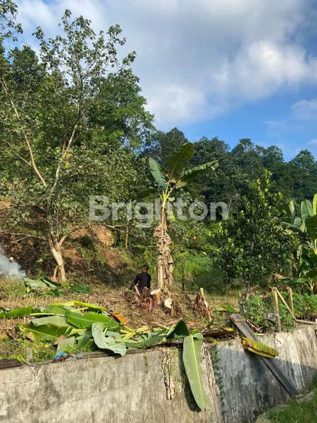 image TANAH SIAP BANGUN 300M² DI DEKAT PERUMAHAN CITRALAND (2)