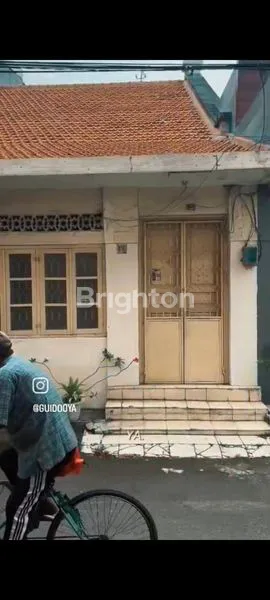 image  RUMAH KALONGAN KECIL (1)